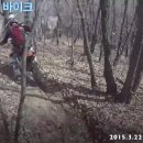 와일드라이더스