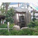 봉평메밀진미식당 이미지