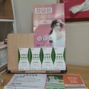 자담인 시원장 후기