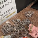 돼지떡볶이(정관점) 이미지