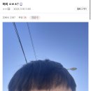 갤러리헤어 이미지