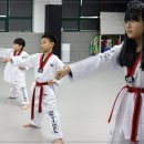 리얼태권도장 이미지