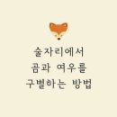 곰과여우 이미지