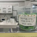 샐러드야(광안점) 이미지