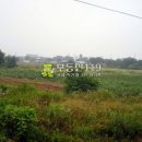 창리농장 이미지