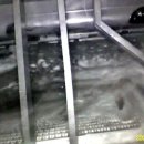 대덕크리닝 이미지