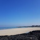 오늘도 화창 이미지