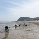 십리포해수욕장 네이버블로그