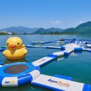 수목원레저 이미지