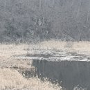 고향인력직업소개소 네이버블로그