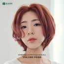 리안헤어가정