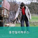 동천일리하우스