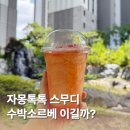 커피톡톡 | 메가커피 자몽톡톡스무디 맛 금액 솔직후기 (수박소르베 비교)