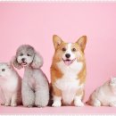 유림온누리약국 이미지