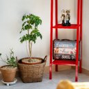 스텔라 펜션 이미지