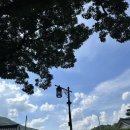 초간정화장실 이미지