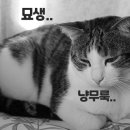 블리스파트너스