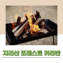 (주)포레스트 카라반 파크 | 전남 지리산포레스트카라반, 아이와 함께 글램핑 여행