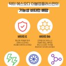 30대 영양제 추천 피로회복 항산화 효소 ReSOD 닥터에스오디 멀티비타민 :: 내돈내산 찐후기