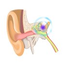 브니엘요양병원 이미지