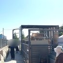 씨사이드파크 레일바이크 화장실 이미지