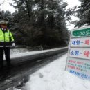 경보사슴 이미지