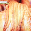 트위그페스츄리