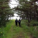 묘1리 경로당 이미지