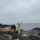 스테이리라 이미지