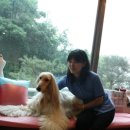 남산동물병원 이미지