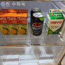 순천수하녹