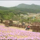 여주꽃화원