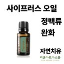 스쿨케어(미르사이언스) | 아로마테라피 2급 자격증과정_54기 7주차 강의 후기