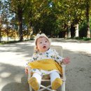 세븐일레븐 담양중앙점 | 가을 담양 단풍여행 내장산펜션 메타978에서 1박한 후기