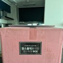 밴드홀릭 | 맘스홀릭 베이비 카페 임신축하박스 당첨 후기
