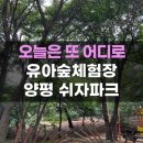 양평쉬자파크 | 양평 아이와 가볼만한곳 양평쉬자파크 유아숲체험장 숲속놀이터