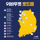 평택애견미용학원 이미지
