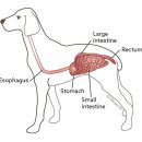 미사동물병원 이미지