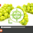 박병길농장 이미지