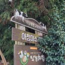 진아목장 이미지