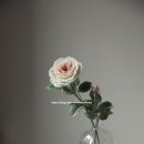 샐리스잉글리쉬