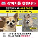 단비 - 2254 | 단비