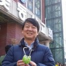 꽃동산교회 앞 이미지