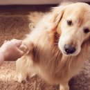 말랑말랑 이미지