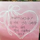 풍선터트리기 | 임신기록 오픈팝박스 젠더리빌 풍선 후기 니프티 검사 후 성별 공개 파티