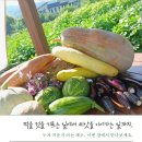 협동상회협동조합 | 양수리 장날 2곳, 9월 두물뭍농부시장과 양수리 전통시장