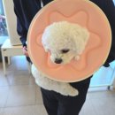 이룸동물병원 이미지