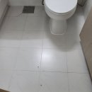 여술로 | 포승 줄눈 업체 평택 포승 모아미래도 화장실 줄눈 공사 후기
