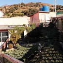 매물도하나민박 이미지