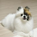 역전할머니맥주 일산식사점